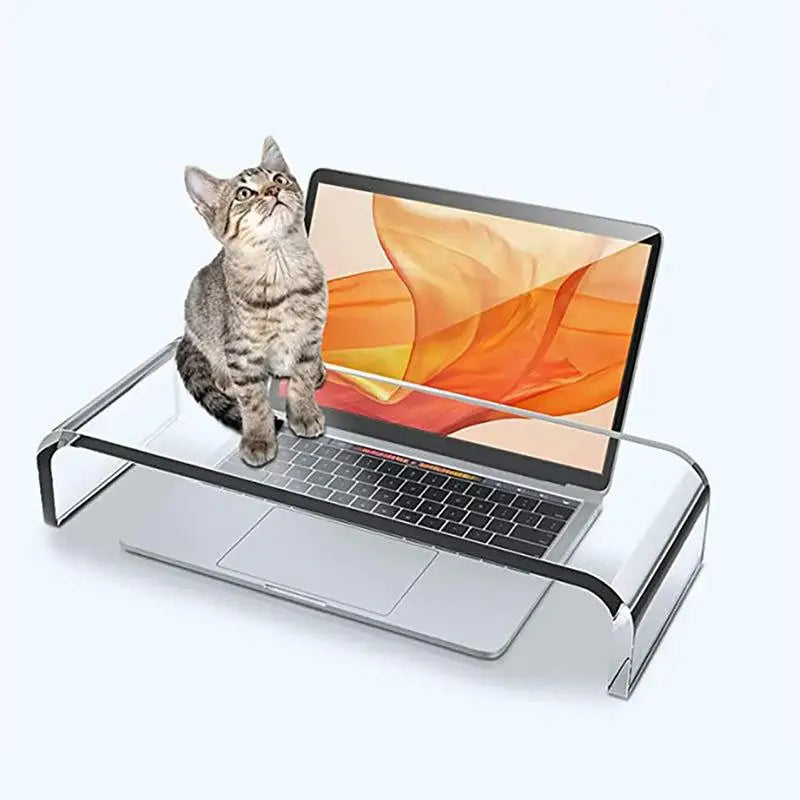 Monitor Stand Riser Acrylic Laptop Stand Clear Desktop Computer Riser  Table Storage Stand Desk Organizer for Storing PC Screen