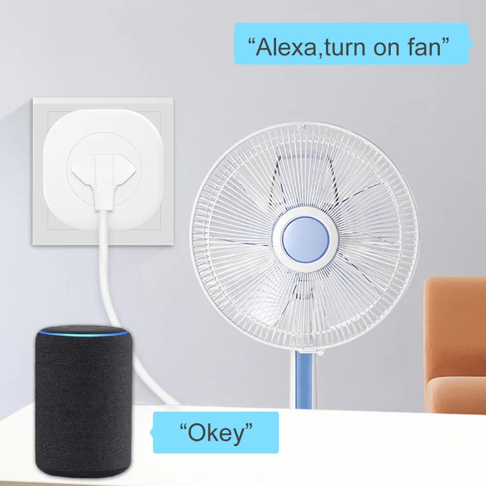 BORUIDAPLS Tuya Zigbee Smart Socket EU/FR/Israel/Brazil/Switzerland 16A With Power Monitoring Voice Control Alexa Google Home